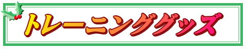 トレーニンググッズ