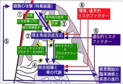 �����a���X�N�C���[�W