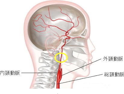 �򓮖��X�e���g�p�ɂ��� | ��Ö@�l �������a�@ �y�]�_�o�������a�@�z